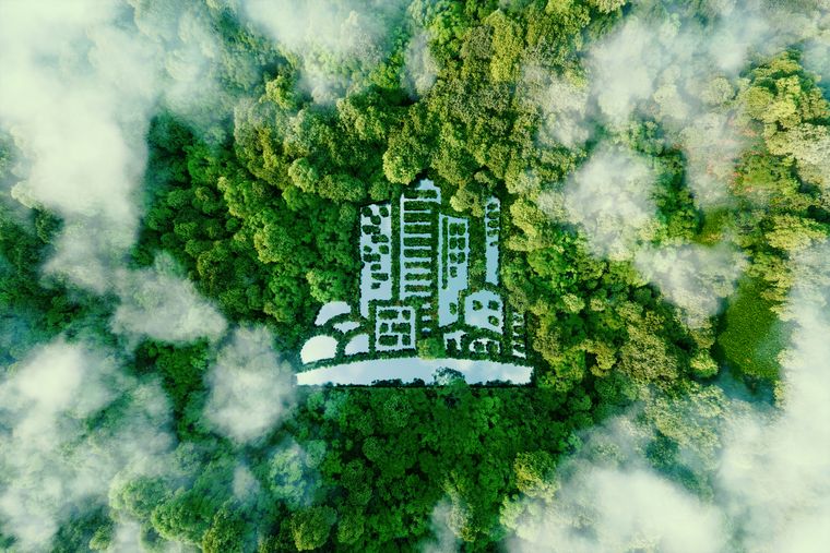 What Comes After the Peak? Understanding the Post-Growth Economy